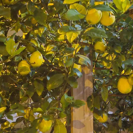 Grand ホテル ティラナ